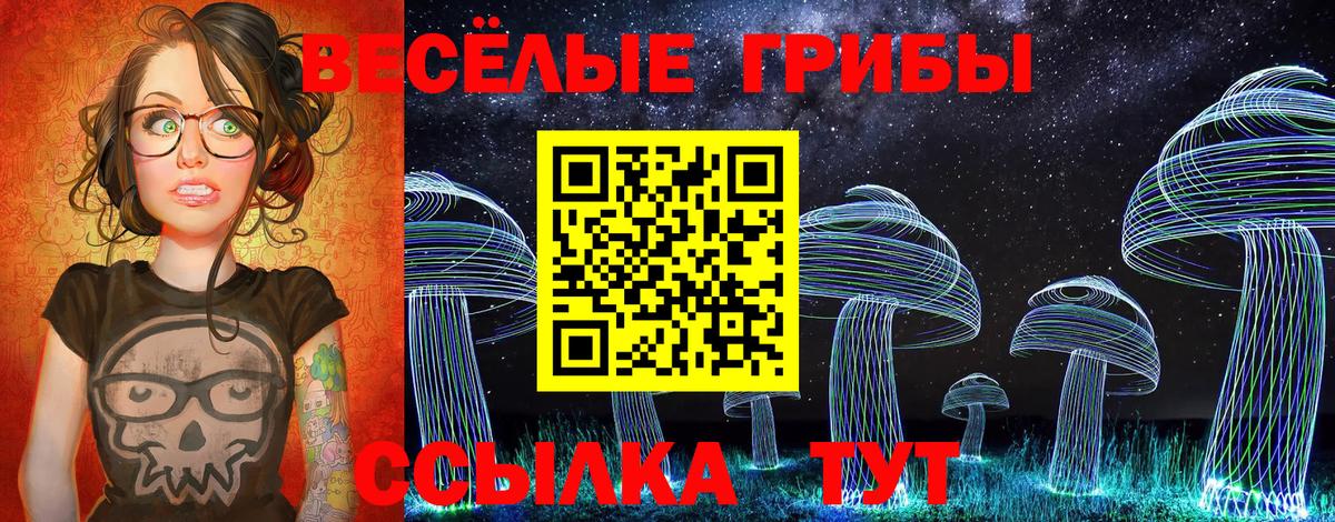 Псилоцибиновые грибы Psilocybine cubensis  закладка  Гусев  Вход с VPN  Галлюциногенные грибы прущие грибы 