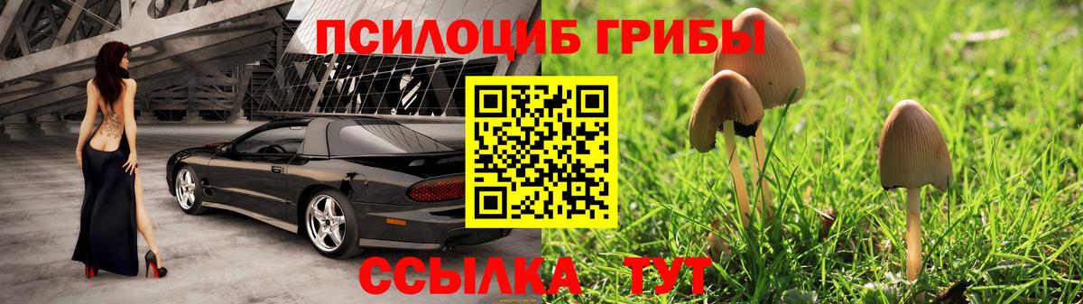 Галлюциногенные грибы Psilocybine cubensis Гусев