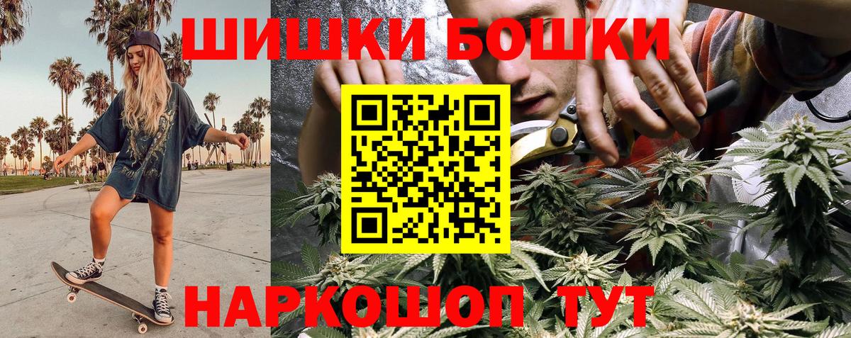 Конопля сатива Гусев